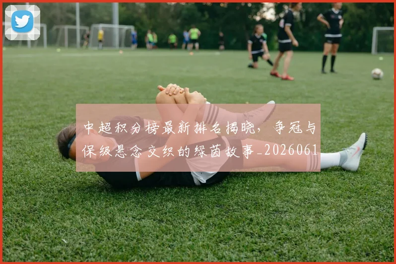 中超积分榜最新排名揭晓,争冠与保级悬念交织的绿茵故事_20260610190446